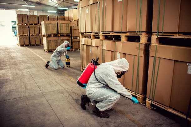 Flea Control Services in Wanakah, NY