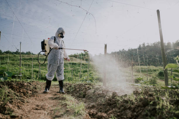 Best Best Pest Control Near Me  in Wanakah, NY