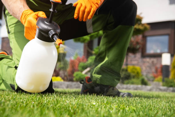 Best Termite Control Services  in Wanakah, NY