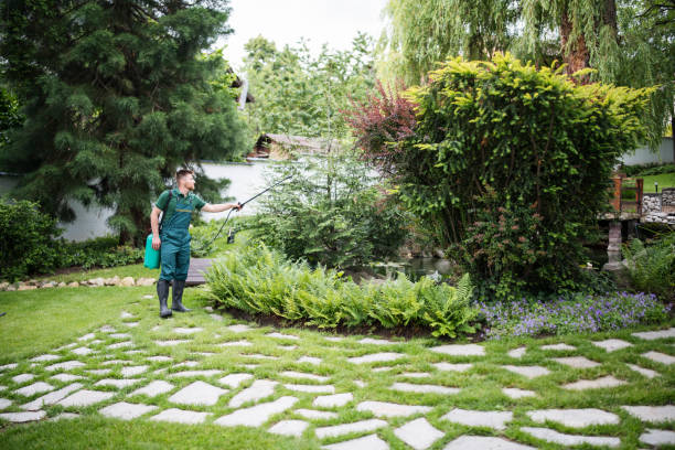 Best Pest Removal Services  in Wanakah, NY