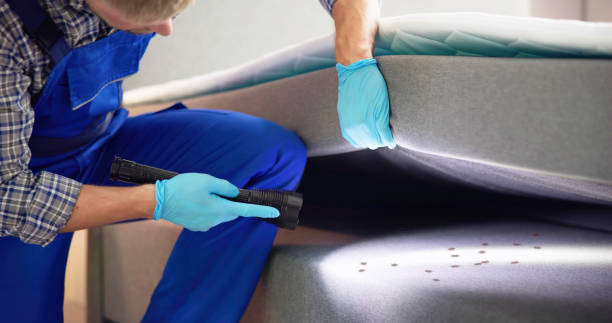 Pest Prevention Services in Wanakah, NY