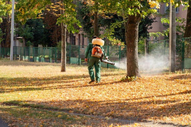 Best Exterminator Services  in Wanakah, NY