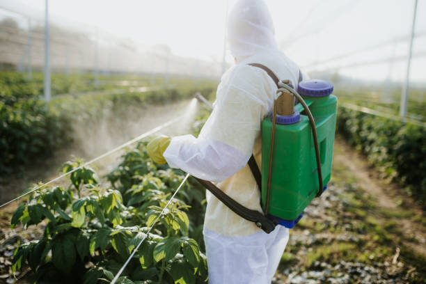 Best Best Pest Control Companies  in Wanakah, NY